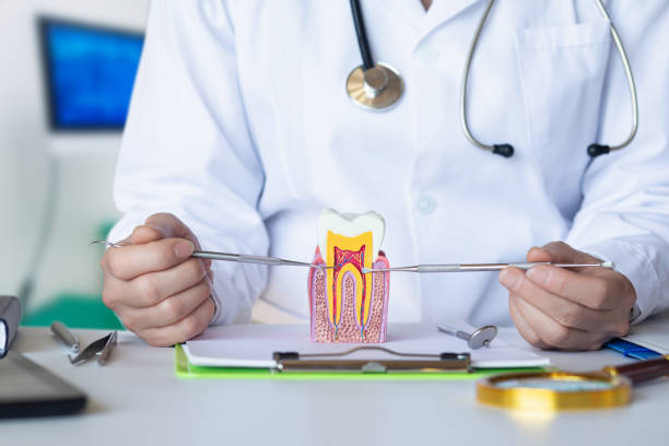 Best Weekend Emergency Dental Services in Cornersville, TN